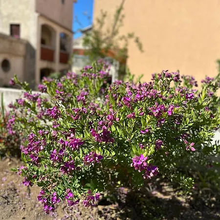 Appartement Ivano & Leo - Private Parking