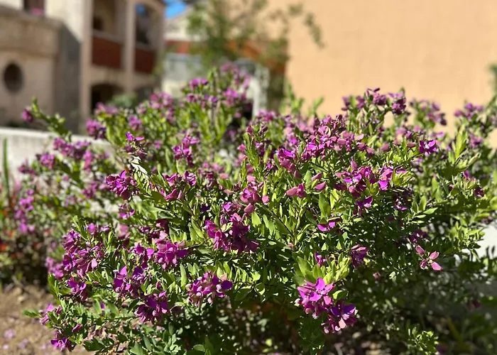 Lejlighed Ivano & Leo - Private Parking